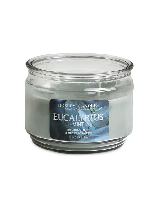 eucalyptus mint highly scented jar candle - 1052378 - Standard Image - 1