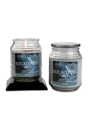 eucalyptus mint highly scented jar candle - 1052389 - Standard Image - 2