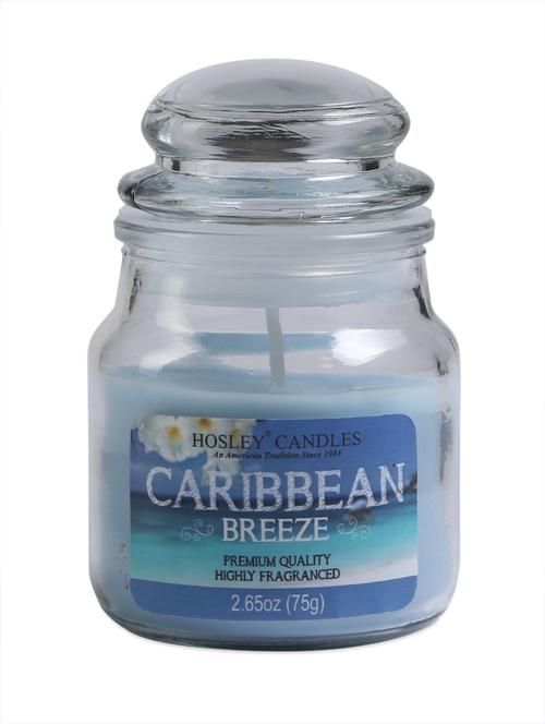 caribbean breeze essence jar candle - 1052418 - Standard Image - 1