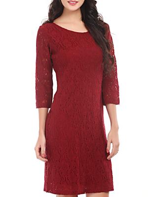 maroon back zip lace dress - 1077952 - Standard Image - 2