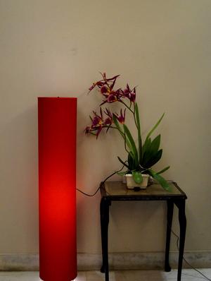 stylish round floor lamp- - 10896766 - Standard Image - 2
