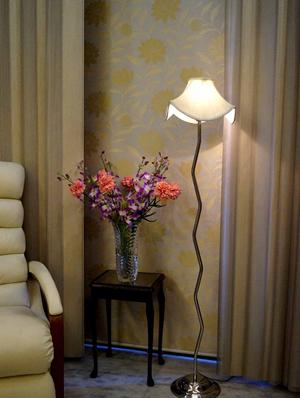 zig zag pure stell floor lamp with designer shade- - 10896826 - Standard Image - 2