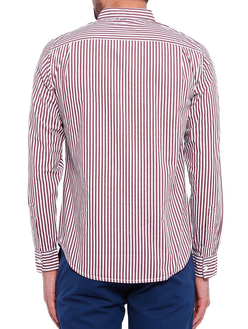 multi color cotton casual shirt - 10917899 - Zoom Image - 3