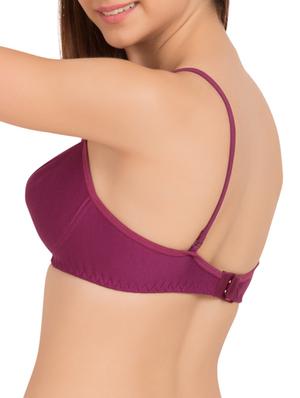 purple cotton tshirt bra - 11176189 - Standard Image - 3