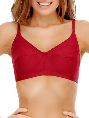 set of 2 bow patch bra - 11728375 - Standard Image - 5