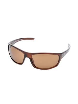 brown rectangle sunglass - 11928409 - Standard Image - 2