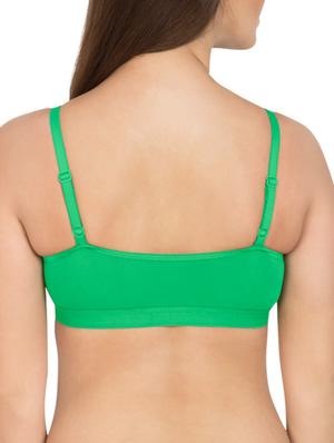 set of 2 lace detail solid bralette - 12278692 - Standard Image - 3