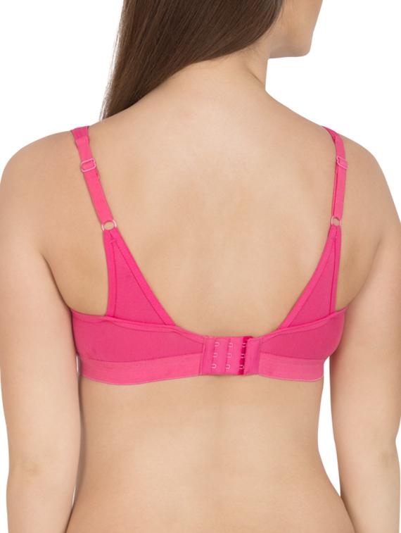 set of 2 sports bra - 12278714 - Zoom Image - 5