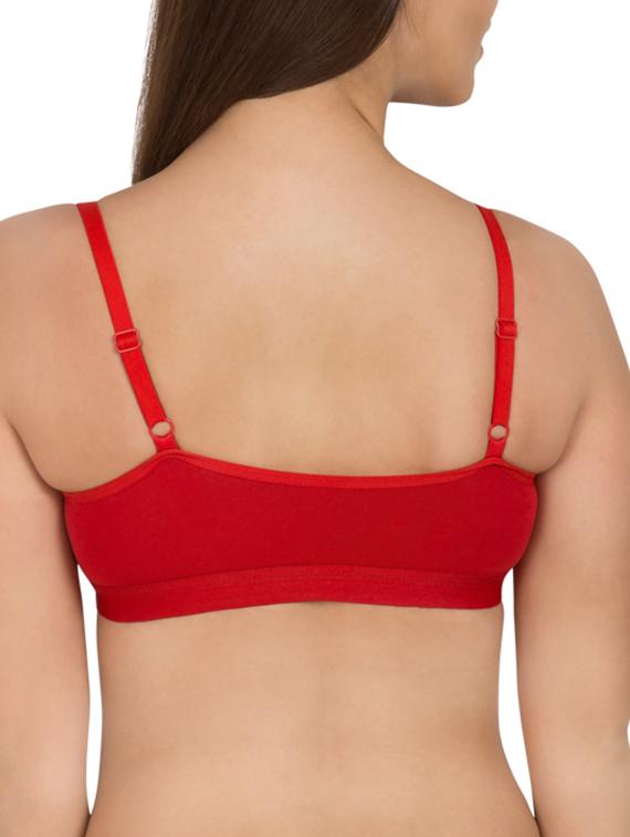 set of 3 lace detail bra - 12278725 - Zoom Image - 5