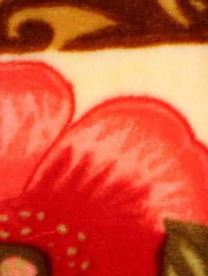 home candy warm & soft attractive floral double bed mink blanket - 12328594 - Standard Image - 2