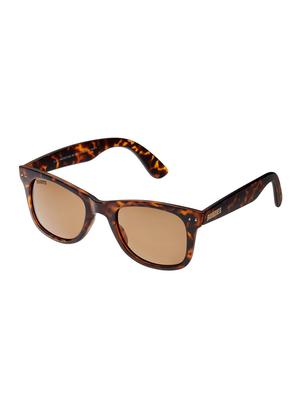 mtv roadies brown wayfarer rd-112-c12 - 12492239 - Standard Image - 2