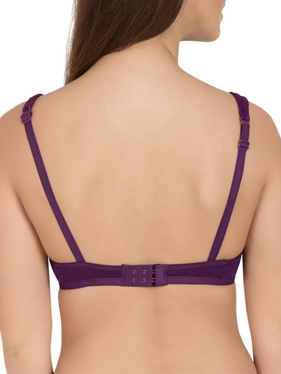 se of 2 multi colored cotton bras - 12826840 - Zoom Image - 4