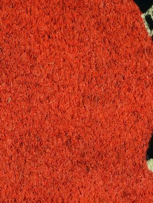 saral home premium quality heavy duty coir mat -40x60 cm - 12996818 - Standard Image - 4