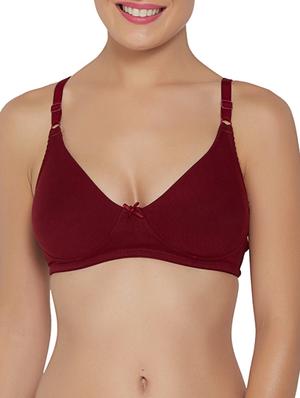 set of 2 bow patch solid bra - 13076101 - Standard Image - 2