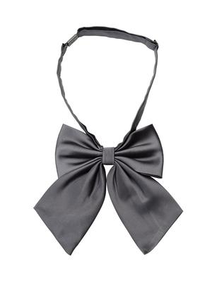 grey bow tie, pocket square and a lapel pin - 13680378 - Standard Image - 2