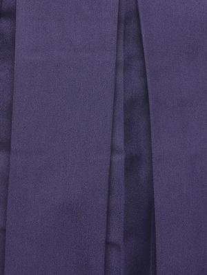 navy blue cotton box pleat skirt - 14180228 - Standard Image - 4