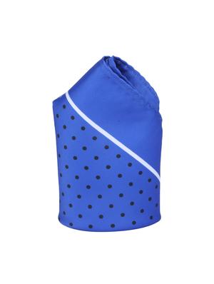 blue polyester pocketsquare - 14264770 - Standard Image - 2