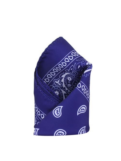 blue polyester pocketsquare - 14264805 - Standard Image - 1
