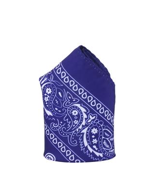 blue polyester pocketsquare - 14264805 - Standard Image - 2