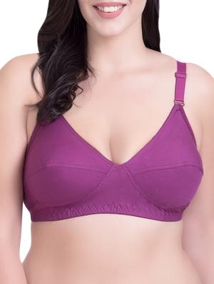 set of 3 purple cotton regular bras - 14372846 - Standard Image - 2