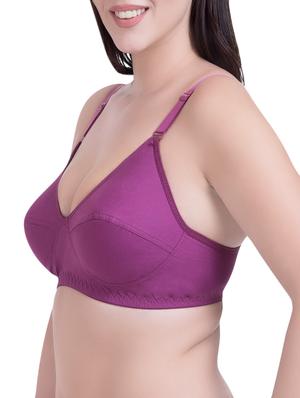 set of 3 purple cotton regular bras - 14372846 - Standard Image - 3