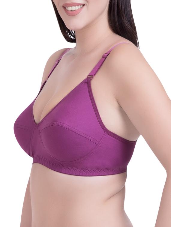set of 3 purple cotton regular bras - 14372846 - Zoom Image - 3