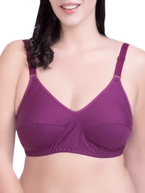 set of 3 purple cotton regular bras - 14372853 - Standard Image - 2