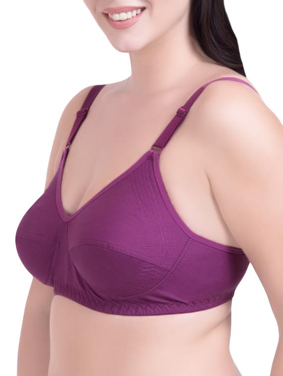 set of 3 purple cotton regular bras - 14372853 - Zoom Image - 3