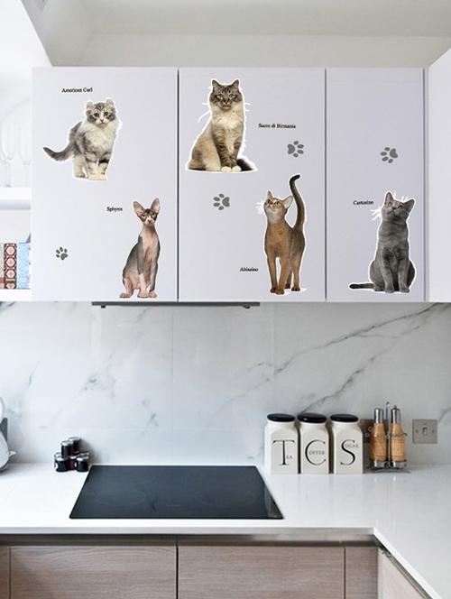 love cats animal theme wall stickers - 14394710 - Standard Image - 1