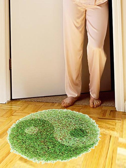 green carpet in home theme 3d wall stickers - 14394719 - Standard Image - 1