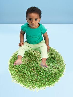 green carpet in home theme 3d wall stickers - 14394719 - Standard Image - 2