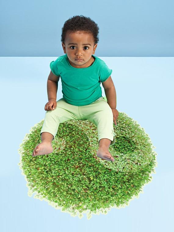 green carpet in home theme 3d wall stickers - 14394719 - Zoom Image - 2