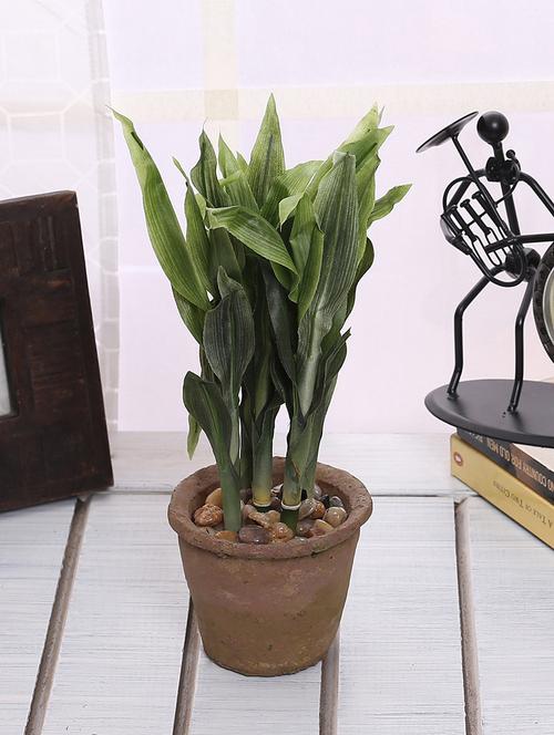 Artificial Lucky Bamboo Plant in a Ceramic Vase - 14463368 - Very Small Image - 1