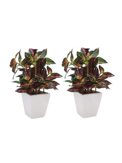 Set of 2 Artificial Wandering Plant with Stylish Ceramic Vase - 14463378 - Very Small Image - 1