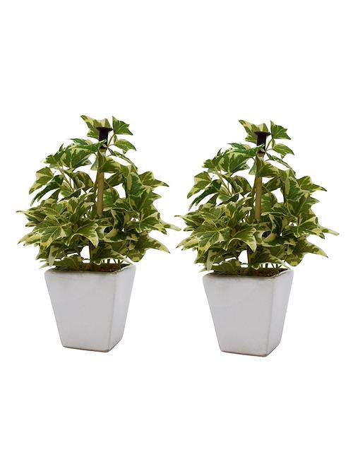 Set of 2 Artificial Wandering Plant with Stylish Ceramic Vase - 14463380 - Very Small Image - 1