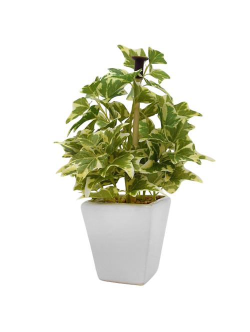 Premium Range Mini Wandering in a Stylish Ceramic Vase tall - 14466135 - Standard Image - 1