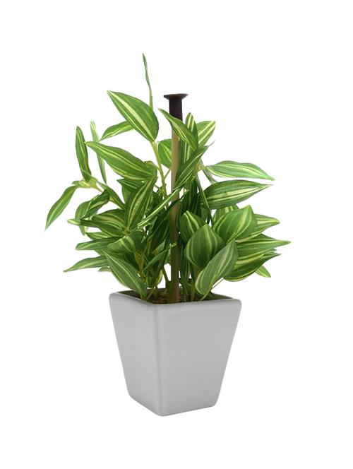 Premium Range Mini Wandering in a Stylish Ceramic Vase tall - 14466136 - Standard Image - 1