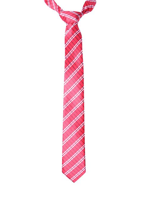 red silk & satin tie - 14496653 - Standard Image - 1