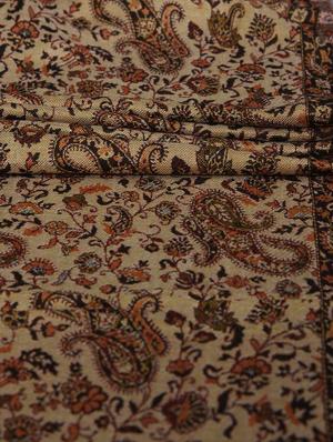 beige paisley design on stole - 14521592 - Standard Image - 3