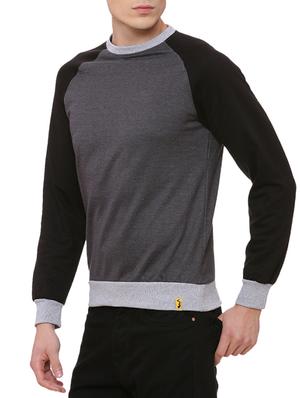 grey cotton raglan sweatshirt - 14564385 - Standard Image - 2