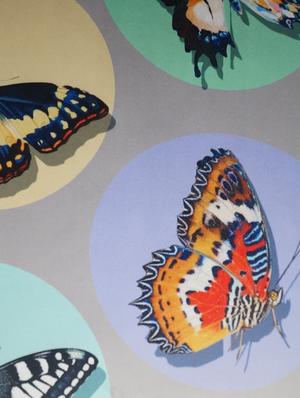 digital kids butterflies door curtain - 14735323 - Standard Image - 3