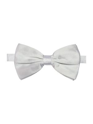 white micro fiber bow tie and handkerchief - 14736773 - Standard Image - 2