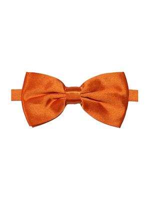 orange micro fiber bow tie and handkerchief - 14736778 - Standard Image - 2
