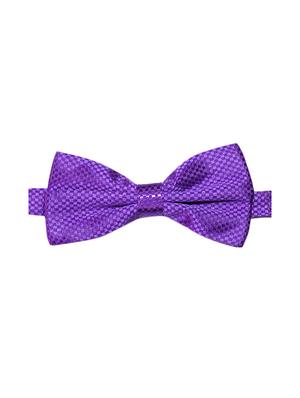 purple micro fiber bow tie and handkerchief - 14736780 - Standard Image - 2