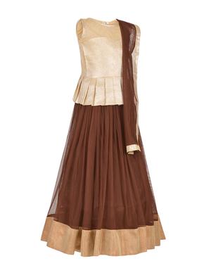 brown satin lehnga choli - 14882950 - Standard Image - 2