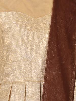 brown satin lehnga choli - 14882950 - Standard Image - 6