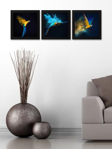 Birds Print 3Pc Frame For Living Room And Bed Room (Wood, 30 cm x 3 cm x 30 cm, Special Effect Textured) - 14893536 - Very Small Image - 1