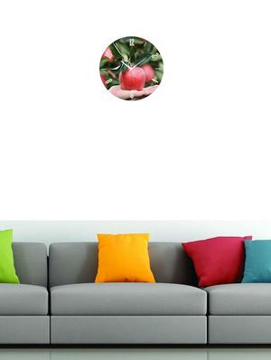 round shape analog wall clock - 14985588 - Standard Image - 2
