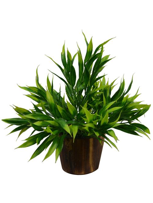 Artificial Plant Bamboo (26 cm/ 10 inchs) in Wood round small pot - 14993928 - Standard Image - 1