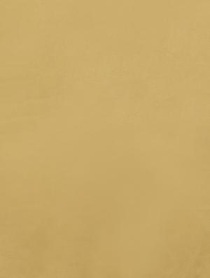 contrast lace detailing plain saree with blouse - 15008975 - Standard Image - 4